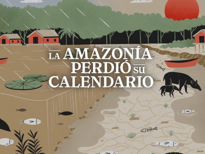 La Amazonía perdió su calendario: nuevo especial multimedia explica cómo los cambios hidroclimáticos están transformando la Amazonía peruana