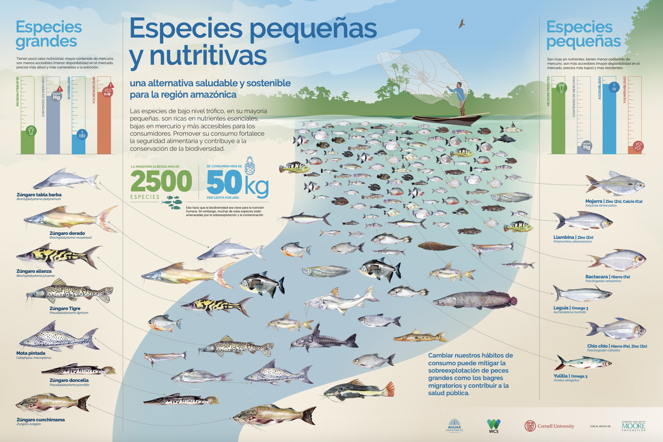 Conservando la Cuenca Amazónica Aguas Amazonicas