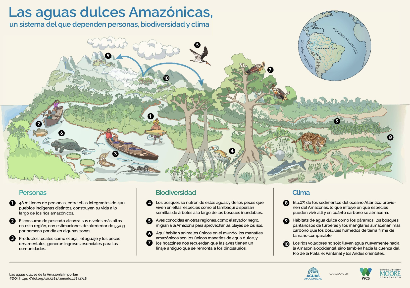 Conservando la Cuenca Amazónica Aguas Amazonicas