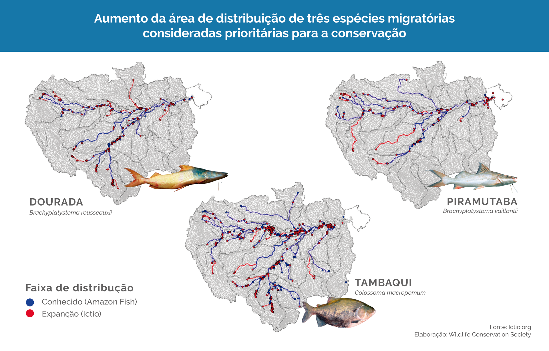 Conservando la Cuenca Amazónica Aguas Amazonicas