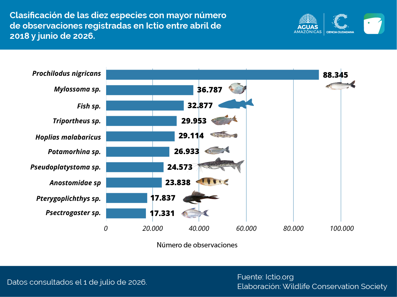 Conservando la Cuenca Amazónica Aguas Amazonicas