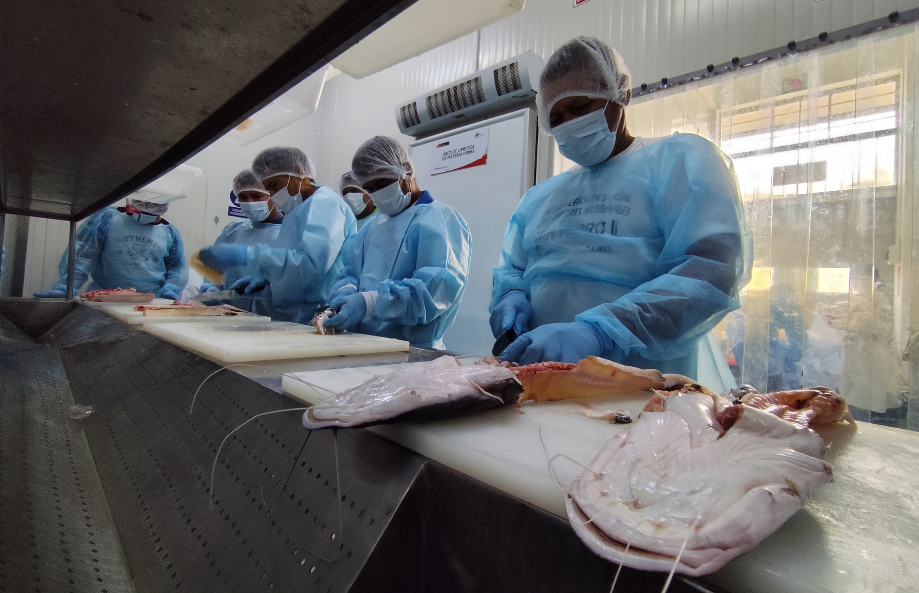 Large-catfish fishing organizations in Loreto agree on a common agenda to contribute to the implementation of the Regional Action Plan for the Conservation of Large Catfish 2 Conservando la Cuenca Amazónica Aguas Amazonicas